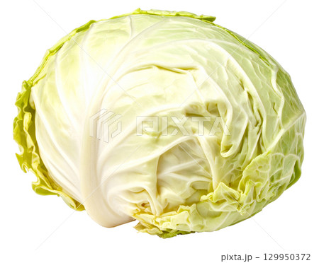 秋の新鮮な収穫野菜（キャベツ） 129950372