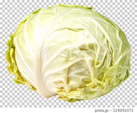 秋の新鮮な収穫野菜（キャベツ） 129950372