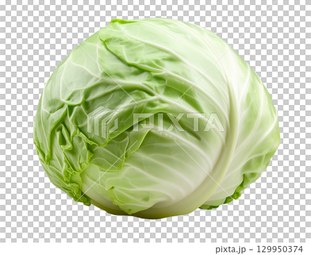Freshly harvested autumn vegetables (cabbage) 129950374