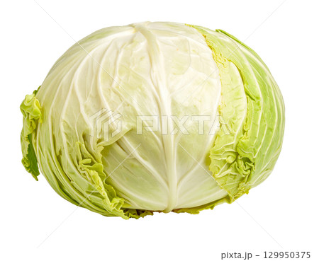 秋の新鮮な収穫野菜（キャベツ） 129950375