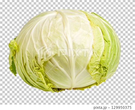 秋の新鮮な収穫野菜（キャベツ） 129950375