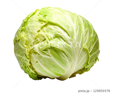 秋の新鮮な収穫野菜（キャベツ） 129950376
