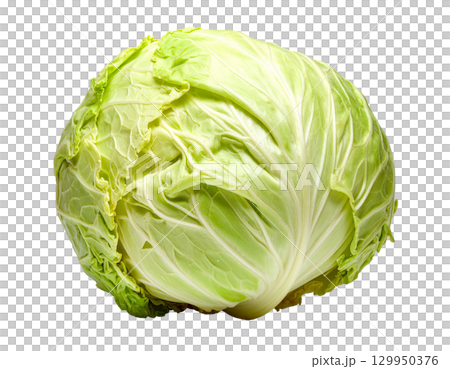 秋の新鮮な収穫野菜（キャベツ） 129950376