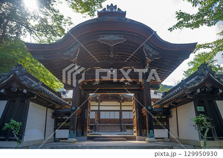 滋賀大津 西教寺 宗祖大師殿の唐門 129950930