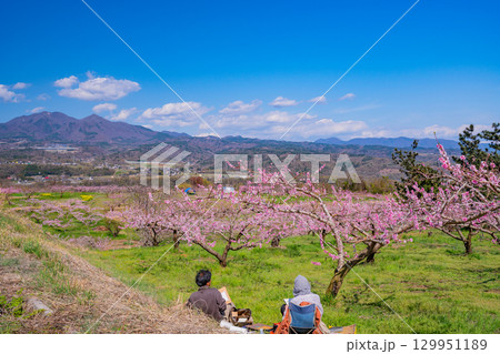 【山梨県韮崎市】新府桃源郷　絵を描く人達 129951189