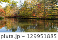 紅葉の映り込み 129951885