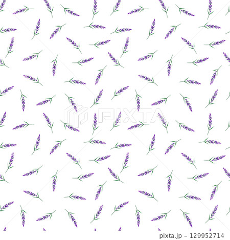 Purple lavender flowers, hand drawn watercolor seamless pattern. Illustration isolated on white background. Can be used for textile, fabric scrapbook and other printed products. Purple lavender flowers, hand drawn watercolor seamless pattern. Illustration isolated on white background. Can be used for textile, fabric scrapbook and other printed products. 129952714