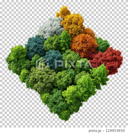 Colorful tree canopy with green, red, orange, yellow, and white foliage creating vibrant and lively natural scene 129953650