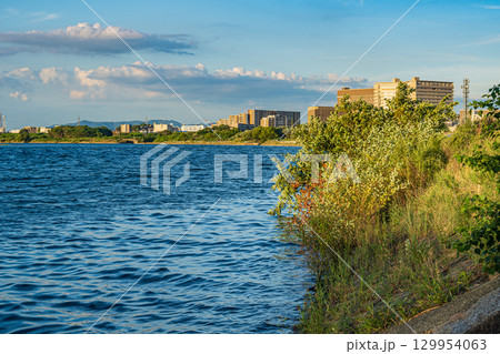 夏の淀川風景 淀川河川公園枚方地区から上流側の景観 大阪府枚方市 夏の淀川風景 淀川河川公園枚方地区から上流側の景観 大阪府枚方市 129954063