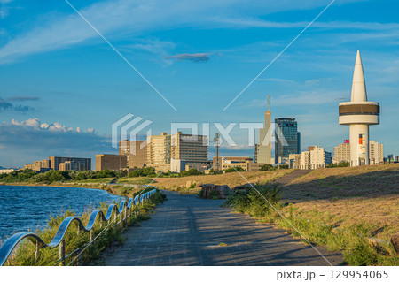夏の淀川風景 淀川河川公園枚方地区 大阪府枚方市 夏の淀川風景 淀川河川公園枚方地区 大阪府枚方市 129954065
