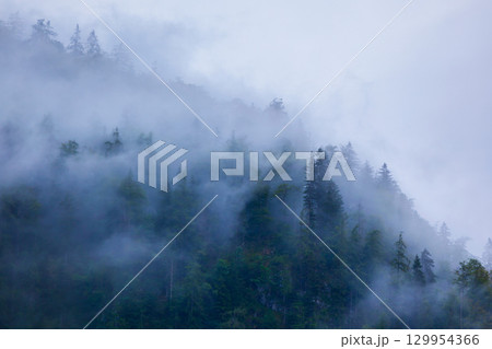 Mountain slope in clouds and mist 129954366