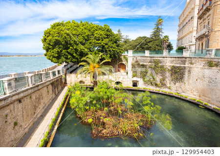 The Fountain of Arethusa or Fonte Aretusa, Syracuse 129954403