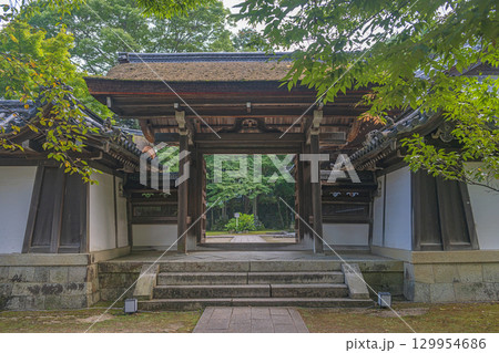 滋賀大津 西教寺 宗祖大師殿の北門 滋賀大津 西教寺 宗祖大師殿の北門 129954686