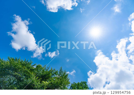 青空と雲と太陽と木立 青空と雲と太陽と木立 129954756