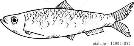 ニシンのスケッチ　モノクロイラスト 129954855