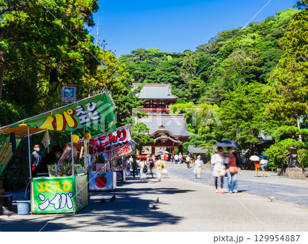 鎌倉　鶴岡八幡宮 129954887
