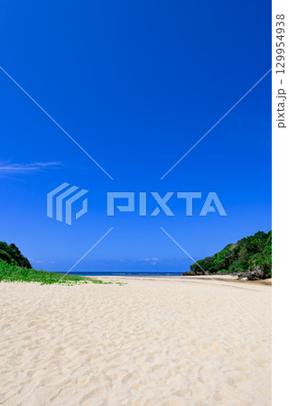 透明な海と緑豊かな自然が美しい石垣島クリスタルビーチ 透明な海と緑豊かな自然が美しい石垣島クリスタルビーチ 129954938