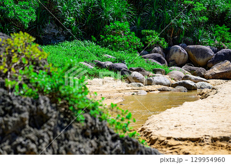 小川が流れる砂浜と熱帯植物に囲まれた石垣島の浜辺 小川が流れる砂浜と熱帯植物に囲まれた石垣島の浜辺 129954960