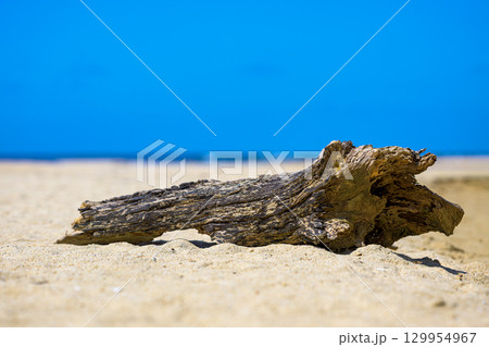 南国のビーチに打ち上げられた流木と青空のコントラスト 南国のビーチに打ち上げられた流木と青空のコントラスト 129954967