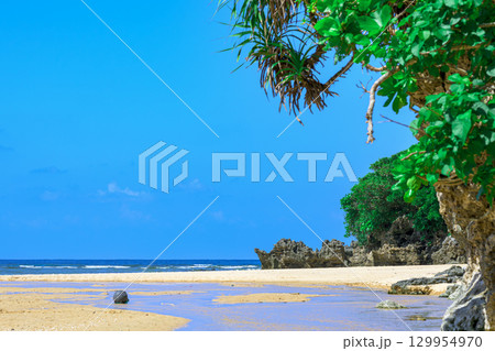 小川が流れる白砂の石垣島クリスタルビーチの自然美 129954970