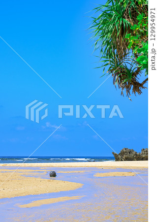 小川が流れる白砂の石垣島クリスタルビーチの自然美 129954971