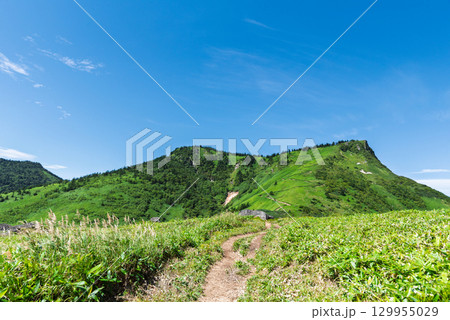 毛無峠から見る夏の破風岳 毛無峠から見る夏の破風岳 129955029