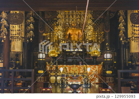滋賀大津 西教寺 本堂内部 滋賀大津 西教寺 本堂内部 129955093