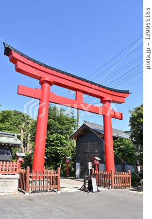 鷲宮神社・関東最古の大社　大鳥居　埼玉県久喜市鷲宮 129955165
