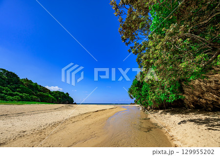 小川が流れる白砂の石垣島クリスタルビーチの夏の風景 小川が流れる白砂の石垣島クリスタルビーチの夏の風景 129955202