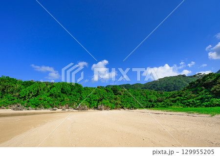 小川が流れる白砂の石垣島クリスタルビーチの夏の風景 小川が流れる白砂の石垣島クリスタルビーチの夏の風景 129955205