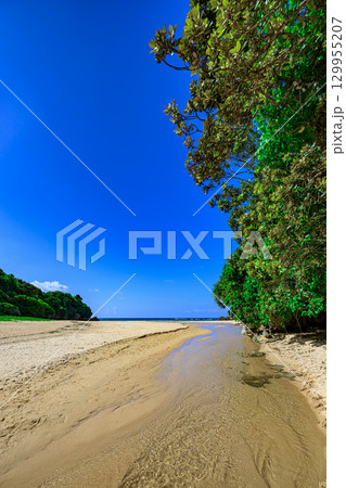 小川が流れる白砂の石垣島クリスタルビーチの夏の風景 小川が流れる白砂の石垣島クリスタルビーチの夏の風景 129955207