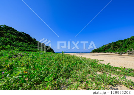 青空と緑に囲まれた石垣島クリスタルビーチの夏の絶景 129955208