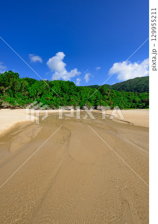 小川が流れる白砂の石垣島クリスタルビーチの夏の風景 129955211