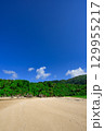 青空と緑に囲まれた石垣島クリスタルビーチの夏の絶景 129955217