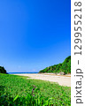 青空と緑に囲まれた石垣島クリスタルビーチの夏の絶景 129955218