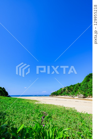 青空と緑に囲まれた石垣島クリスタルビーチの夏の絶景 129955218