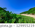 青空と緑に囲まれた石垣島クリスタルビーチの夏の絶景 129955219