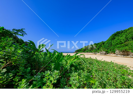 青空と緑に囲まれた石垣島クリスタルビーチの夏の絶景 129955219