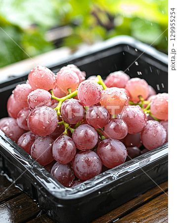 Ripe grape purple fresh on sale. organic agriculture farm. AI Generated. 129955254