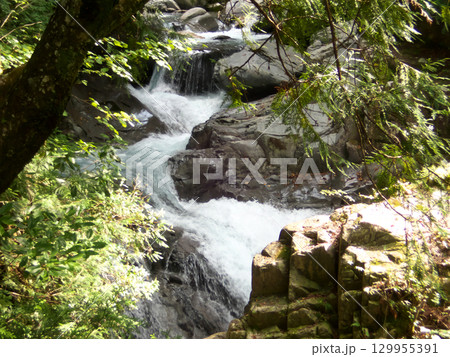 森の中の小さな滝の連続 129955391