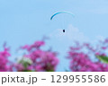 ふんわり飛ぶパラグライダー 129955586