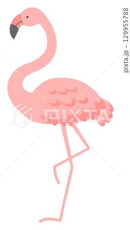 かわいいフラミンゴのイラスト 129955788