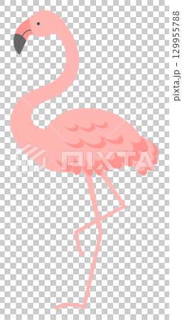 可愛的火烈鳥插畫 可愛的火烈鳥插畫 129955788