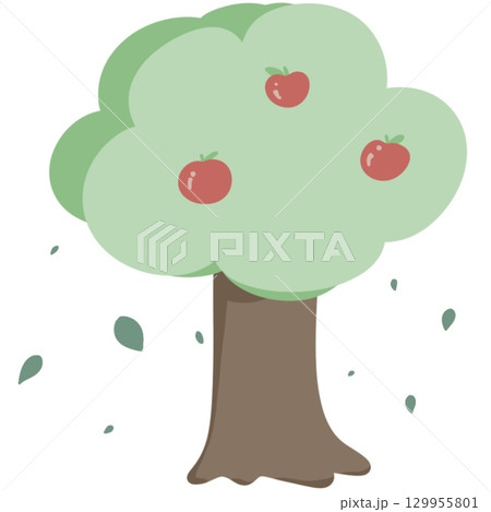 the view of tree apple 129955801