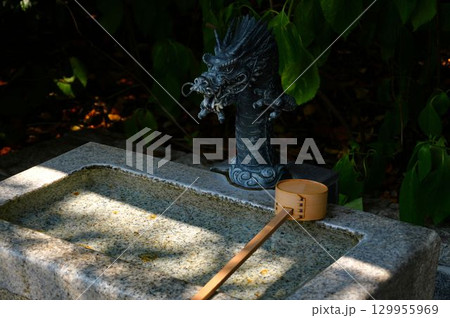 手水舎の龍 手水舎の龍 129955969