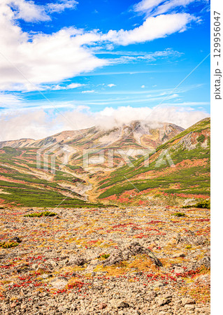 青空に映える大雪山黒岳の紅葉景観 129956047