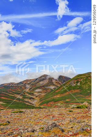 雄大な大雪山黒岳の紅葉と高原風景 129956049