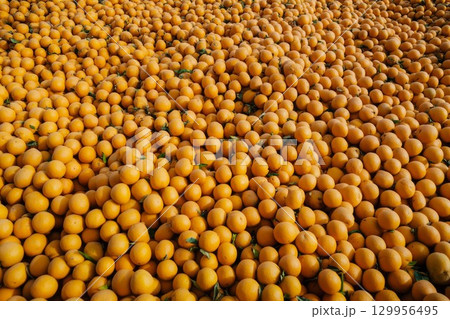 Rows of oranges in dimly lit warehouse. Neural network AI generated 129956495
