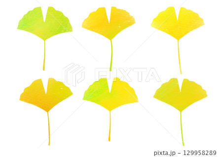 秋　色とりどりのイチョウのセット　カラフル 129958289