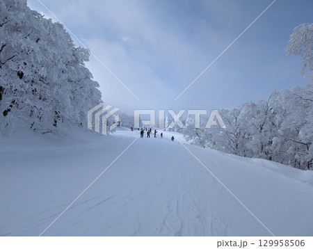 山形蔵王温泉スキー場 中央ゲレンデ 129958506